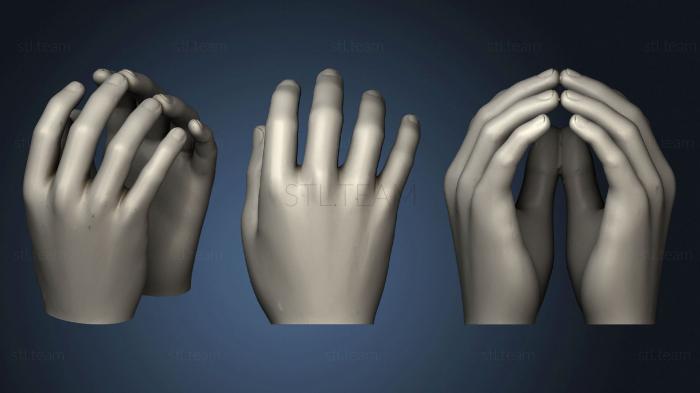 3D model Cat Hands (STL)